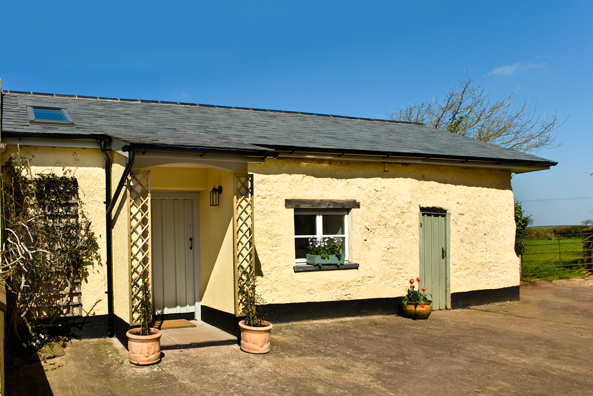 Little Barn, Black Dog