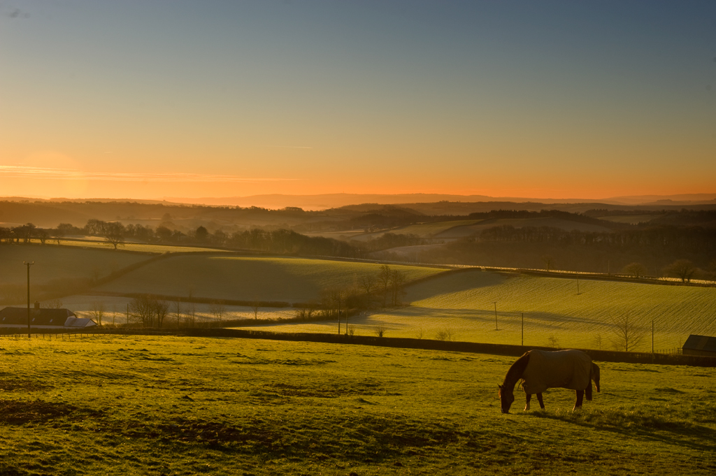 This image has an empty alt attribute; its file name is dsc_6555-1024px.jpg